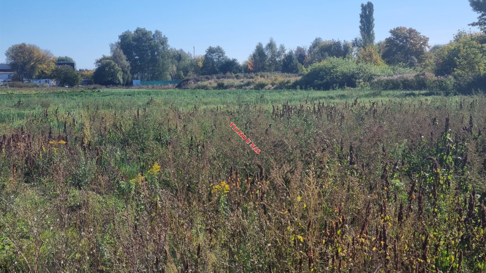 Działka na sprzedaż