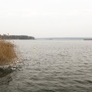 Dom na sprzedaż