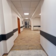 Lokal na wynajem